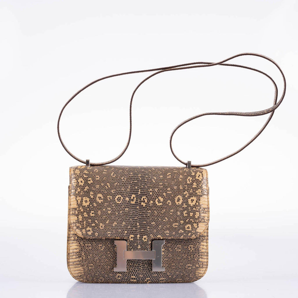 Hermes Constance 18 Ombre Salvator Lizard Palladium Hardware