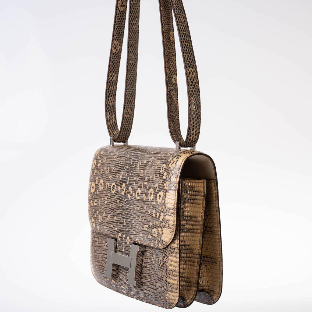 Hermes Constance 18 Ombre Salvator Lizard Palladium Hardware