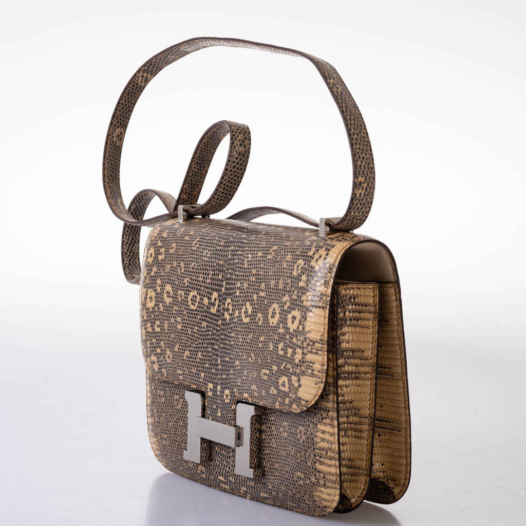 Hermes Constance 18 Ombre Salvator Lizard Palladium Hardware