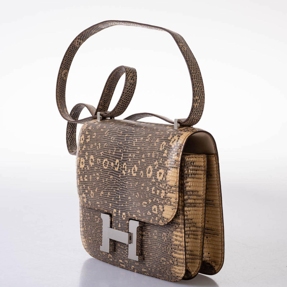 Hermes Constance 18 Ombre Salvator Lizard Palladium Hardware