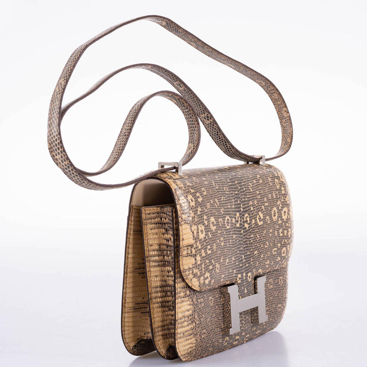 Hermes Constance 18 Ombre Salvator Lizard Palladium Hardware