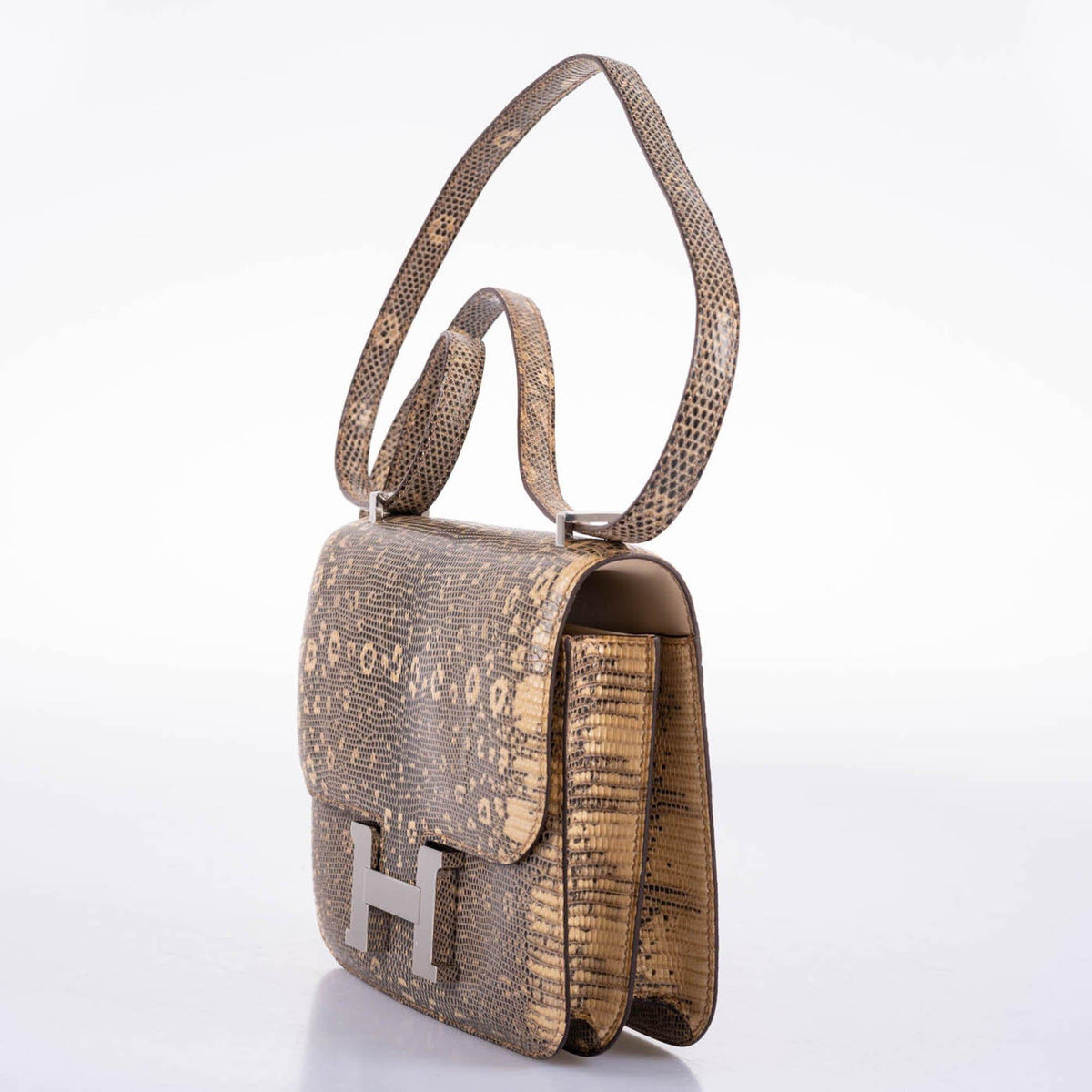 Hermes Constance 18 Ombre Salvator Lizard Palladium Hardware