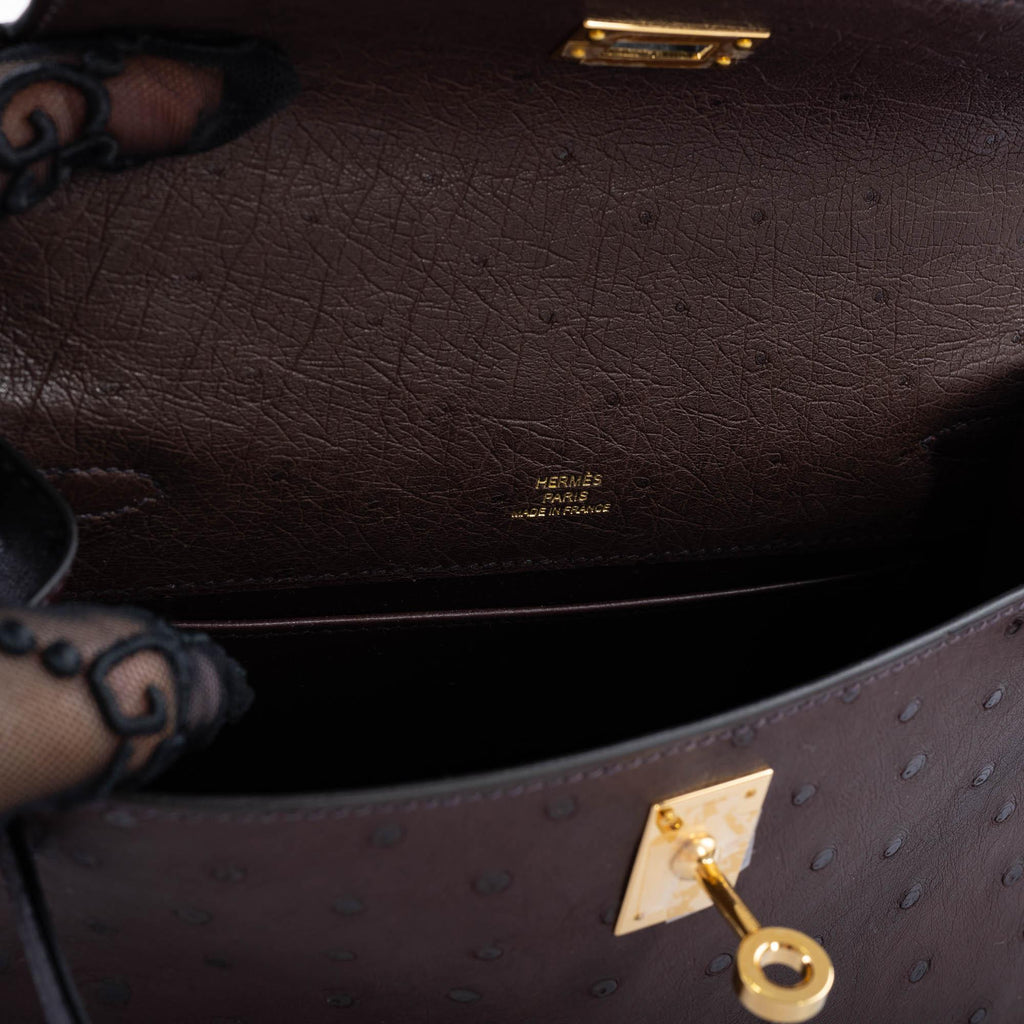 Hermes Kelly Pochette Rouge Sellier Ostrich with Gold Hardware
